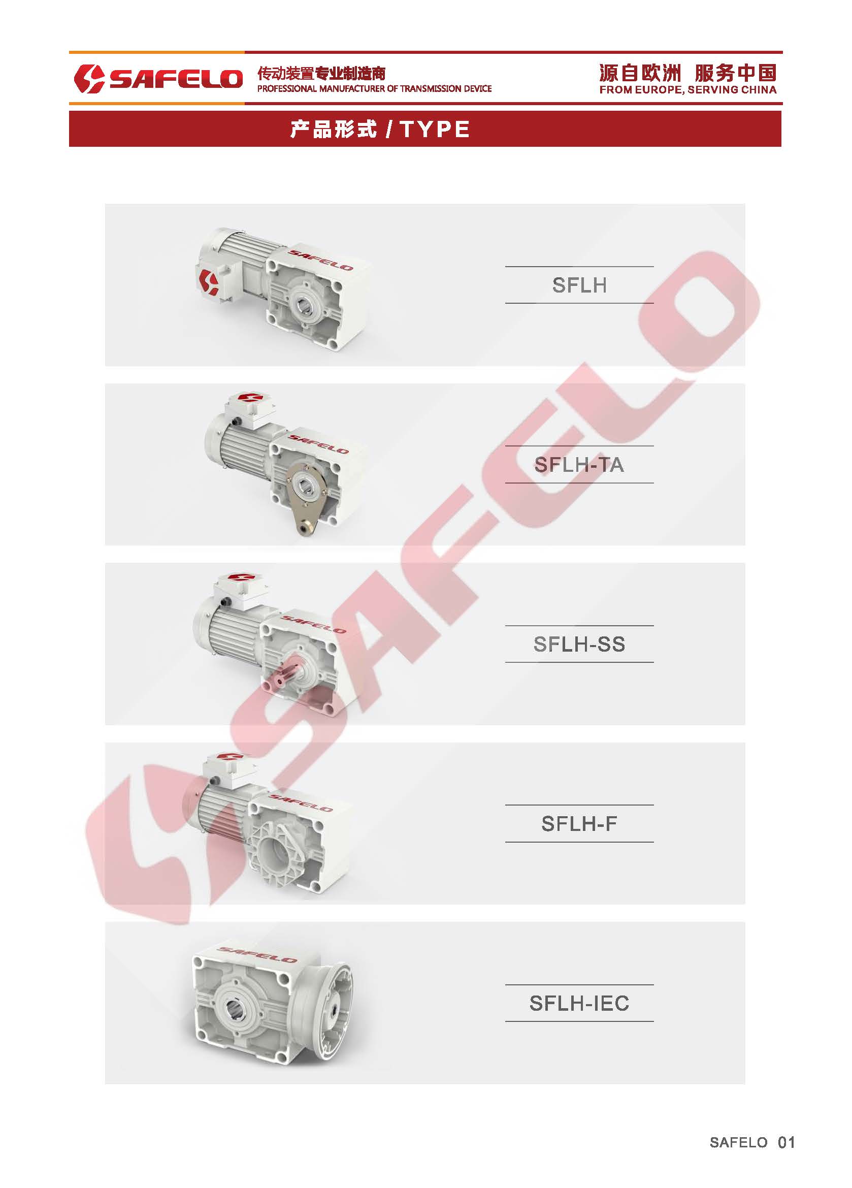 SFLH產(chǎn)品形式.jpg